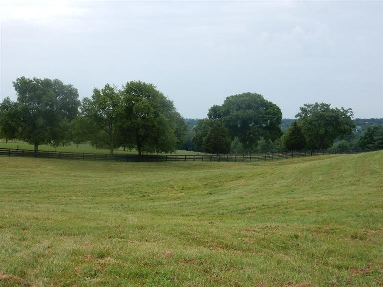 1084 Hifner Road Versailles, KY 40383 - Photo 1 of 22 Photo 1