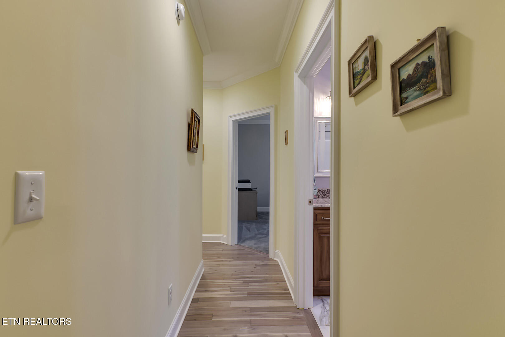 401 Tanasi Way Loudon, TN 37774 - Photo 31 of 44 31_401 Tanasi Way_BedroomHall03