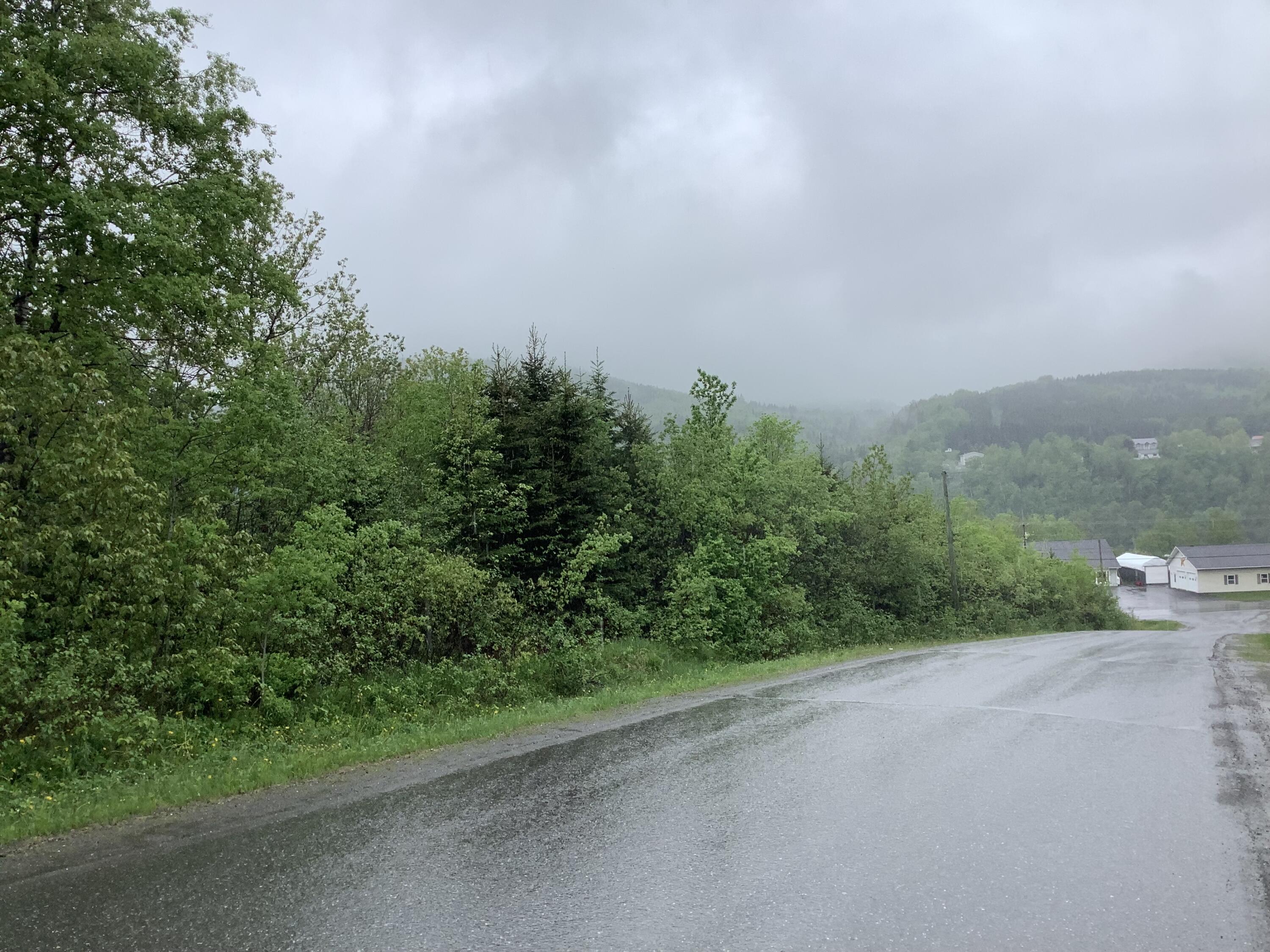 0 Map 10 Road Frenchville, ME 04745 - Photo 1 of 4 IMG_1664