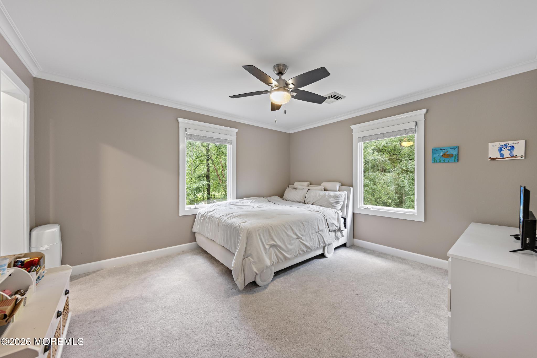 289 Cranberry Road Farmingdale, NJ 07727 - Photo 28 of 46 289 Cranberry Road (71)