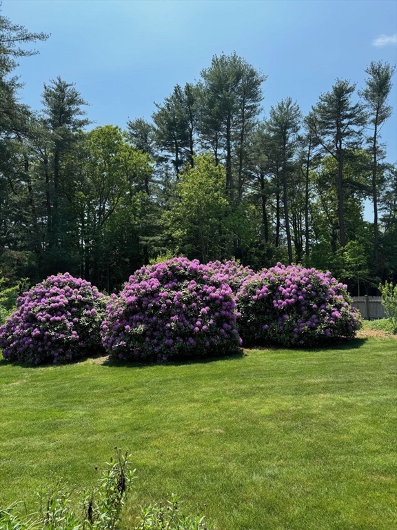 15 Autumn Circle Hingham, MA 02043 - Photo 35 of 38 a view of yard with green space