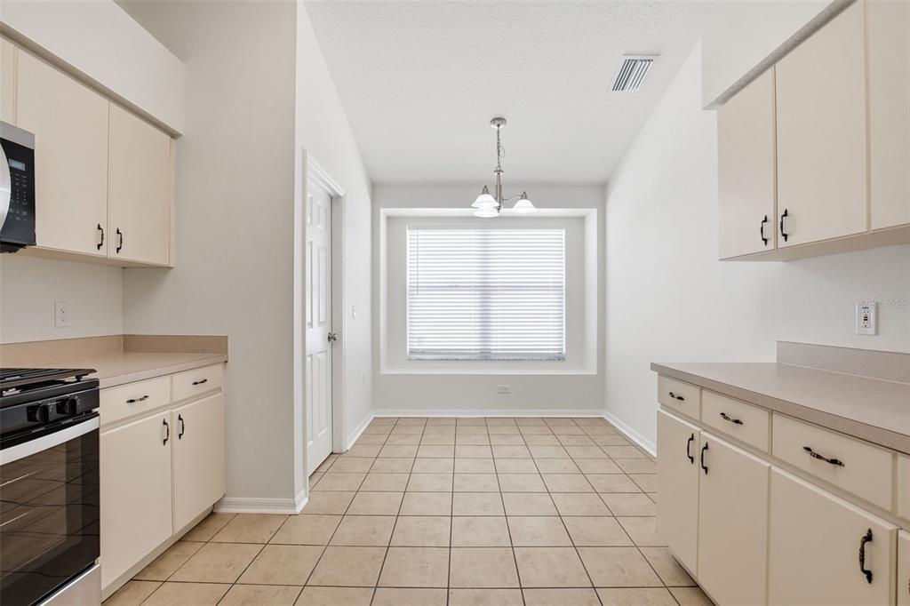 22611 Roderick Drive Land O' Lakes, FL 34639 - Photo 9 of 33