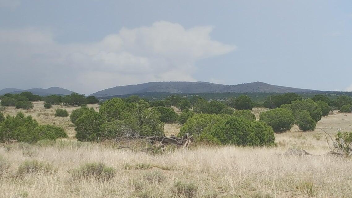 Lot 188 Pinon Springs Ranch Magdalena, NM 87825 - Photo 4 of 10 Gallery Image 4
