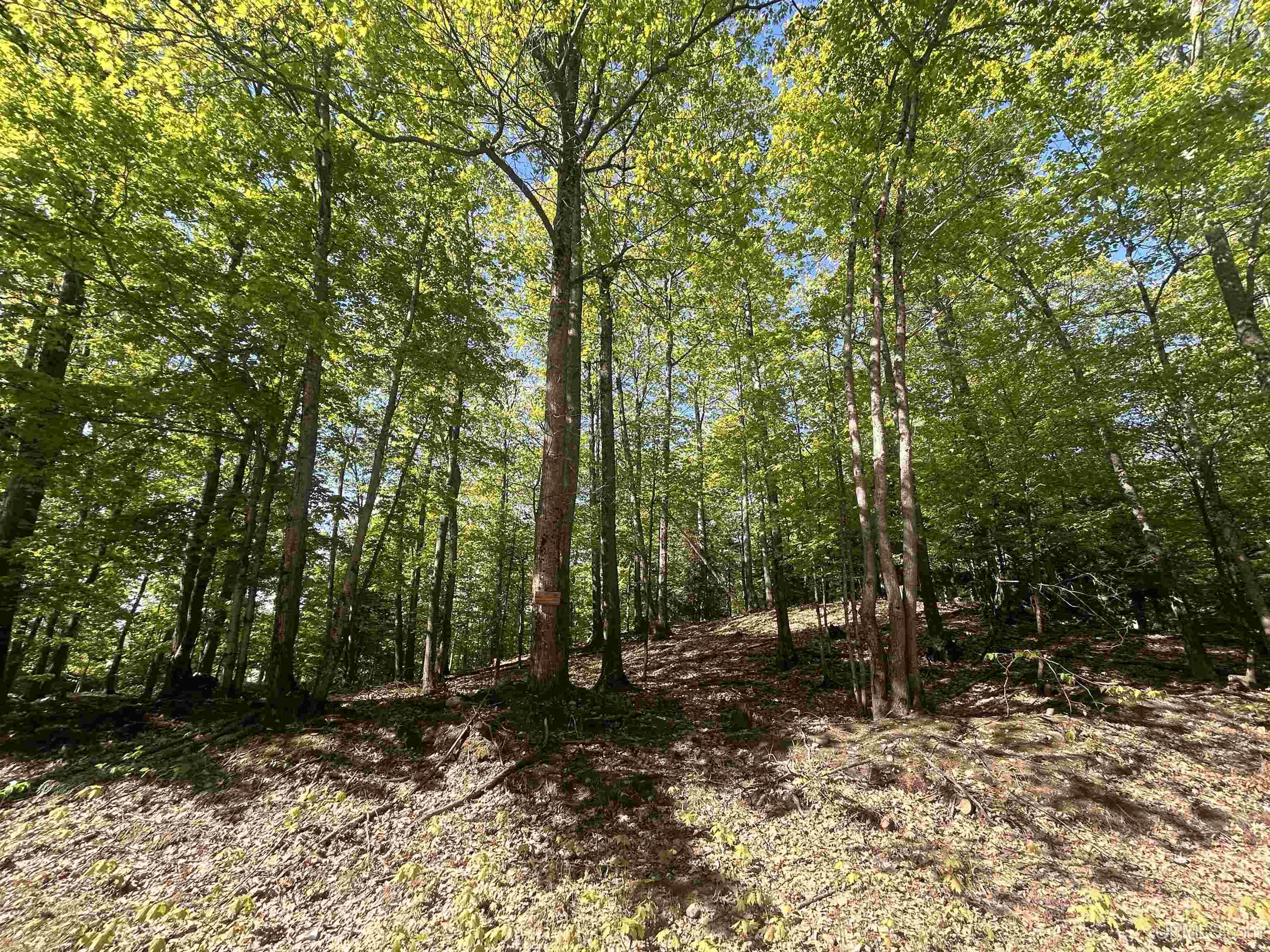 Tbd McClure Dm Road Negaunee, MI 49866 - Photo 16 of 16