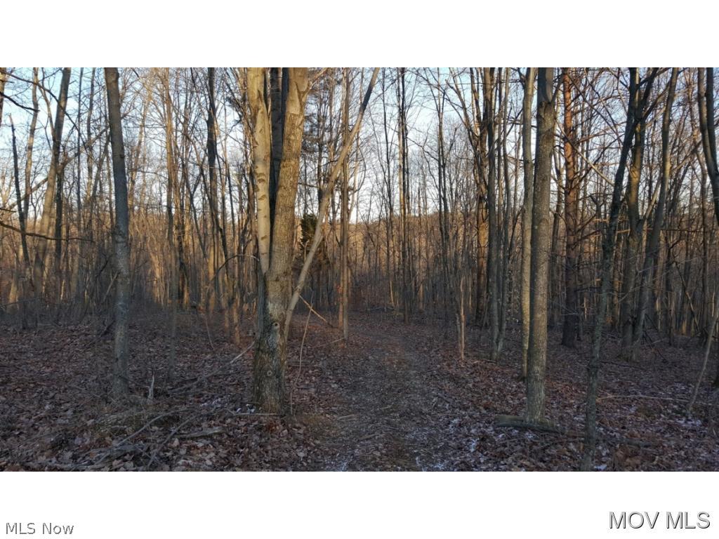 0 Windy Ridge Road Vincent, OH 45784 - Photo 2 of 2 Gallery Image 2