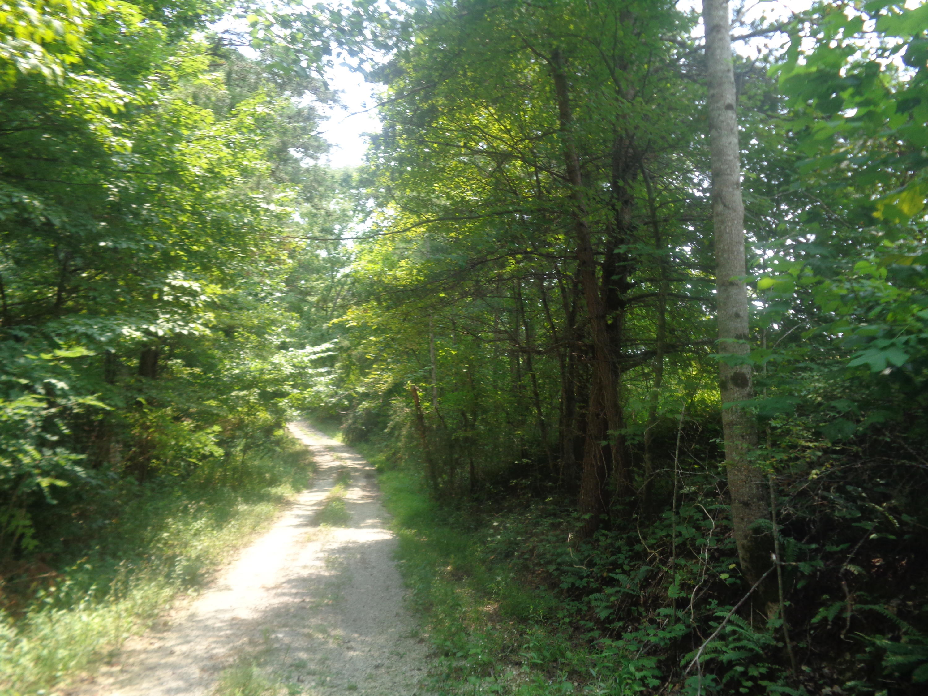 1468 County Farm Road London, KY 40741 - Photo 15 of 26 DSC05467