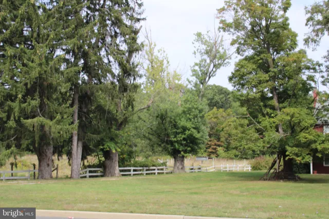 a view of green field