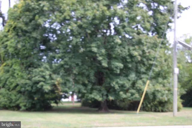 a view of outdoor space and yard