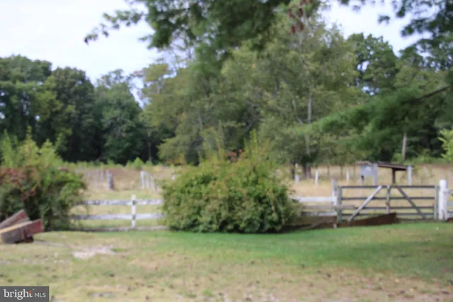 a view of a park with large trees