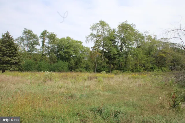 a view of a field with trees in the background