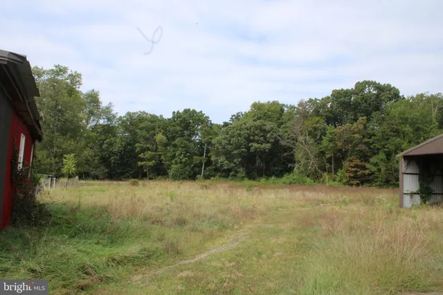a view of backyard with green space
