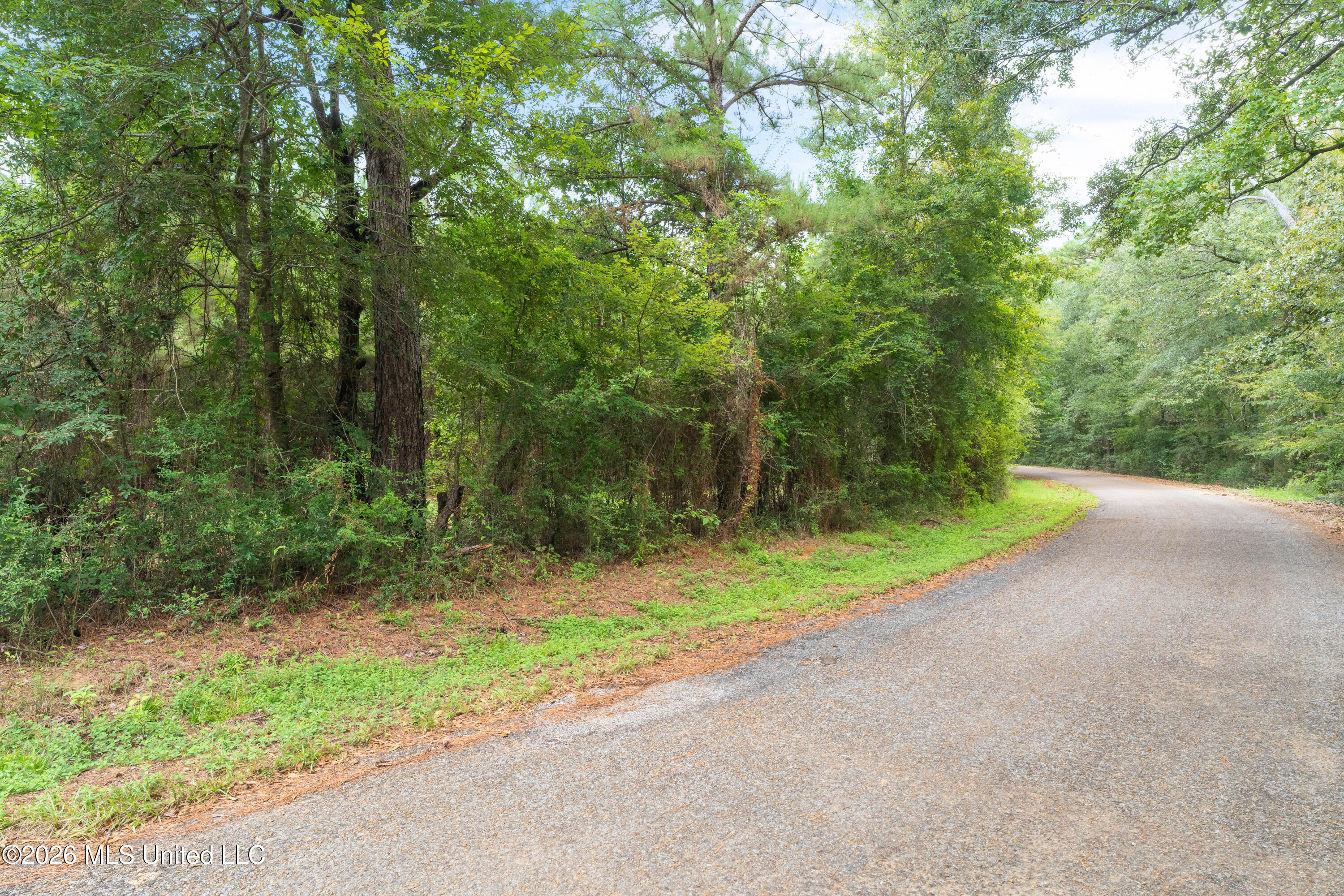 2705 Pilgrims Rest Road Magnolia, MS 39652 - Photo 55 of 68 2629_Pilgrims_Rest_Rd_Lot_3-13