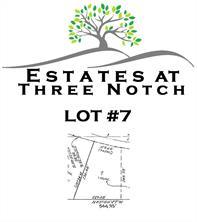 lot 7