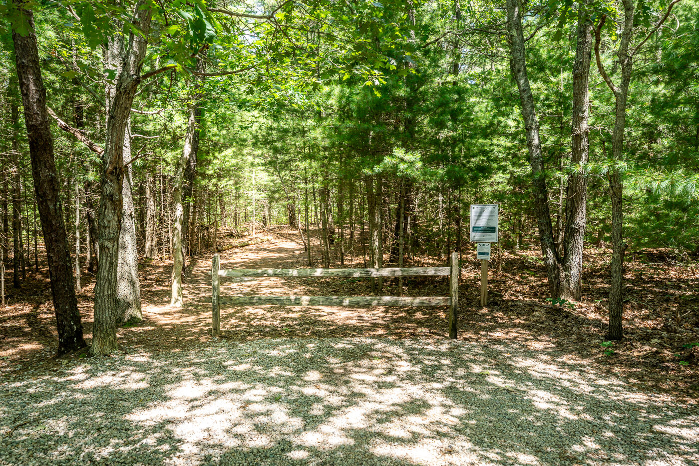 349 Little River Road Cotuit, MA 02635 - Photo 66 of 67 a view of outdoor space with trees