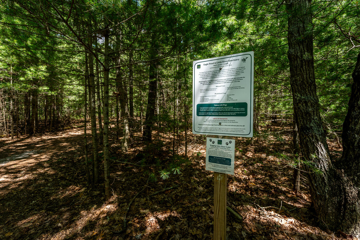 349 Little River Road Cotuit, MA 02635 - Photo 67 of 67 Eagle Pond Trail access