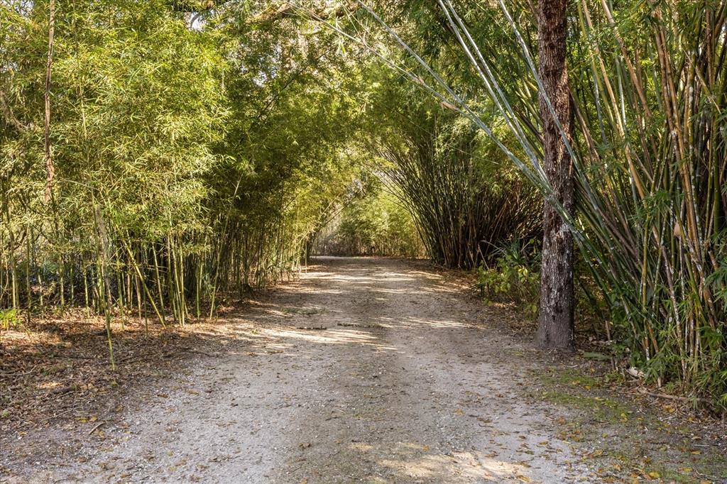 1423 North Lagoon Point Inverness, FL 34453 - Photo 50 of 76 Gallery Image 50
