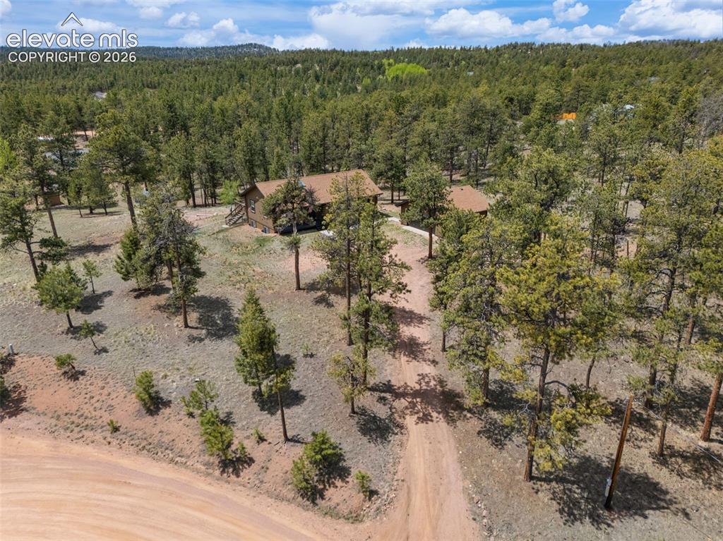 187 Thunder Ridge Road Florissant, CO 80816 - Photo 6 of 46
