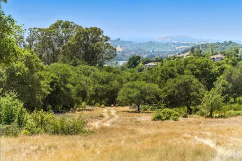 a view of a yard with a tree