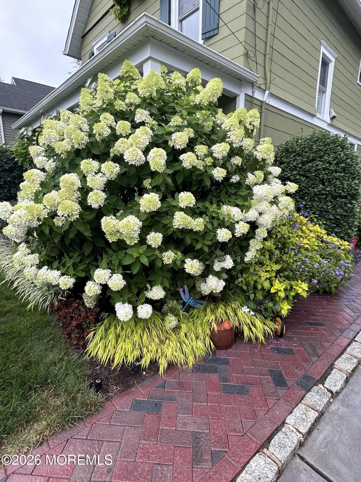 69 Foster Street Red Bank, NJ 07701 - Photo 56 of 56 IMG_3757