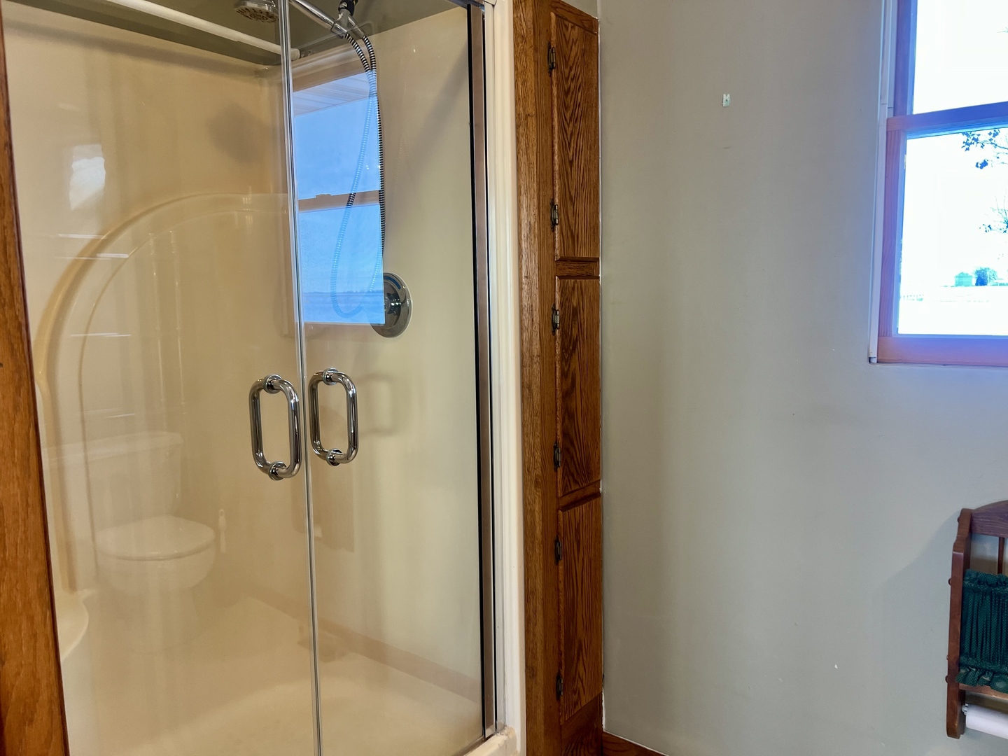 1909 County Road 2800 North Rantoul, IL 61866 - Photo 16 of 42 a bathroom with a shower