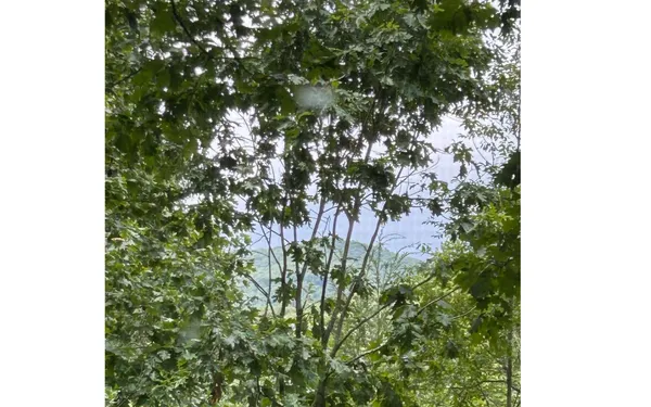 $2,250 | 513 Lapidary Lane, Young Harris, GA 30582