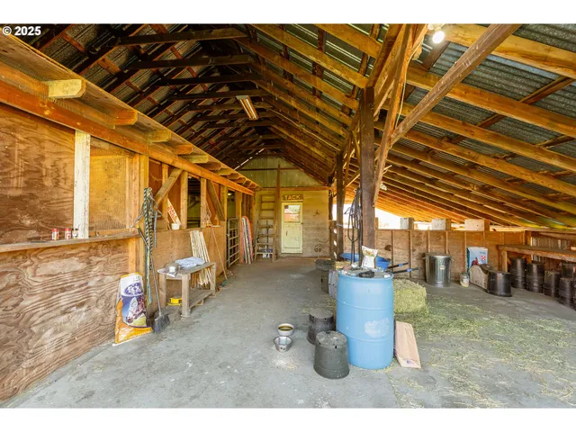 a backyard of a house with plants and large tree