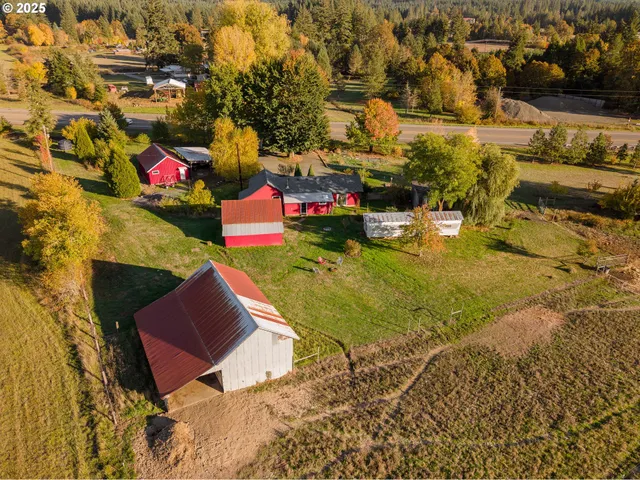 a view of a tree in a yard