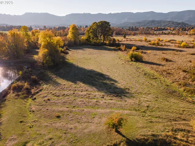 a view of a yard with an outdoor space