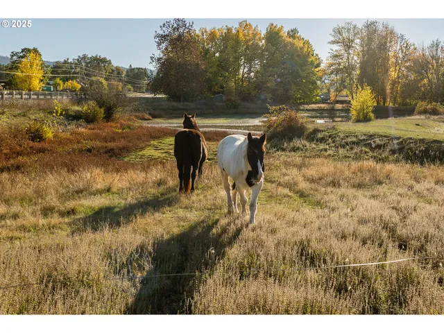 a view of lake and mountain