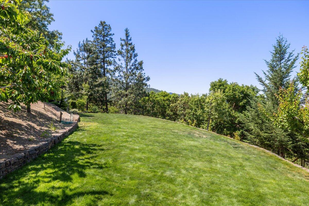500 Ashland Loop Road Ashland, OR 97520 - Photo 9 of 67 a yard with trees in the background