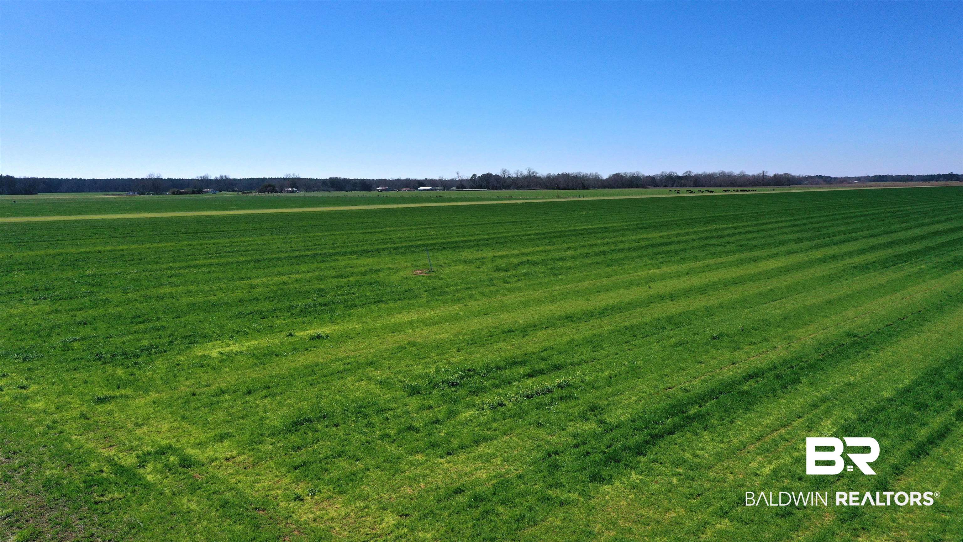 Lot 14 Davis Pond Road Atmore, AL 36502 - Photo 4 of 14