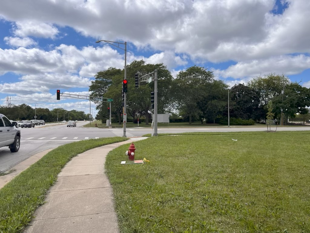 617 North Wilke Road Arlington Heights, IL 60005 - Photo 2 of 4 a view of a garden