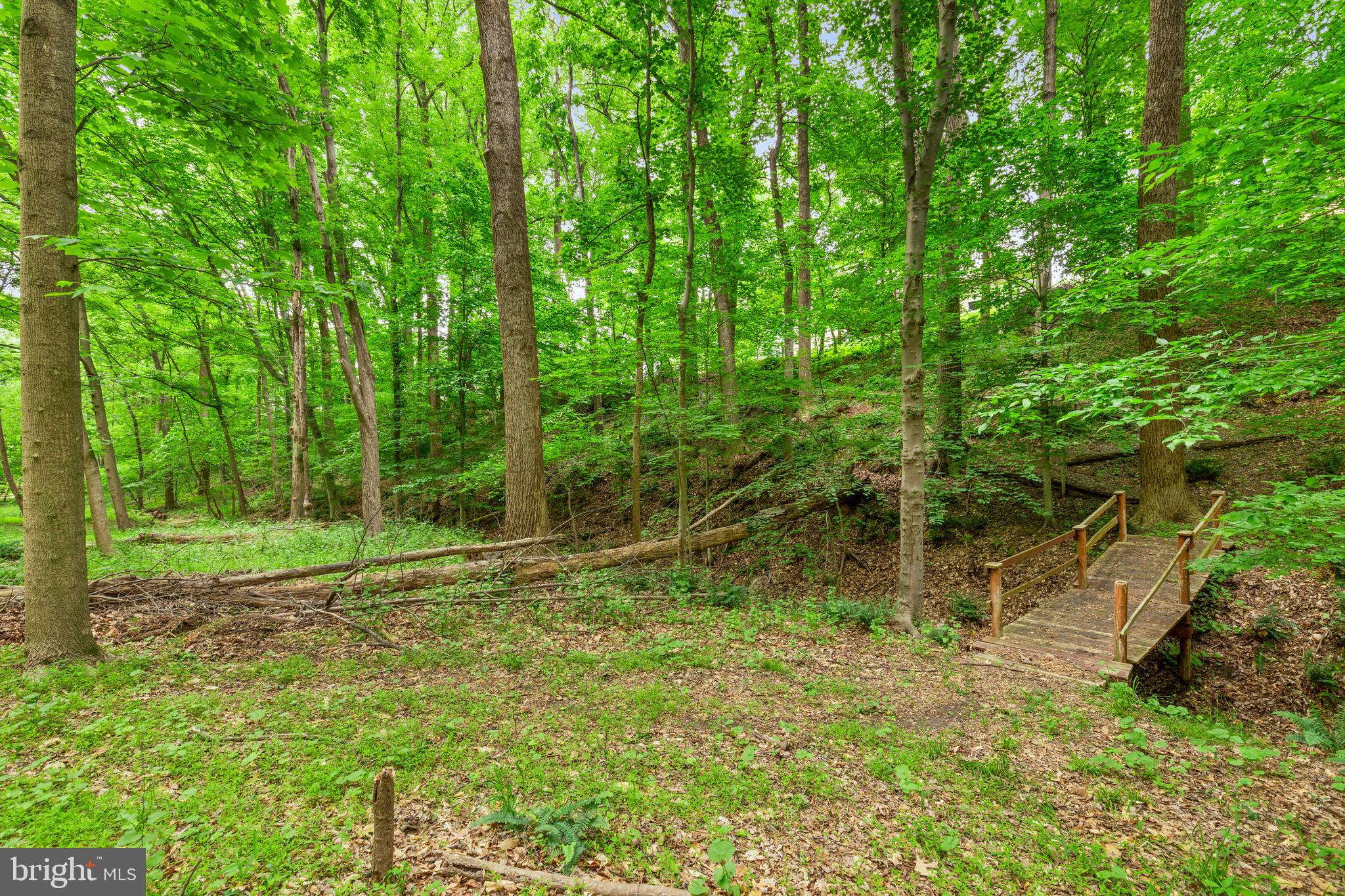 21 Catoctin Court Silver Spring, MD 20906 - Photo 31 of 34