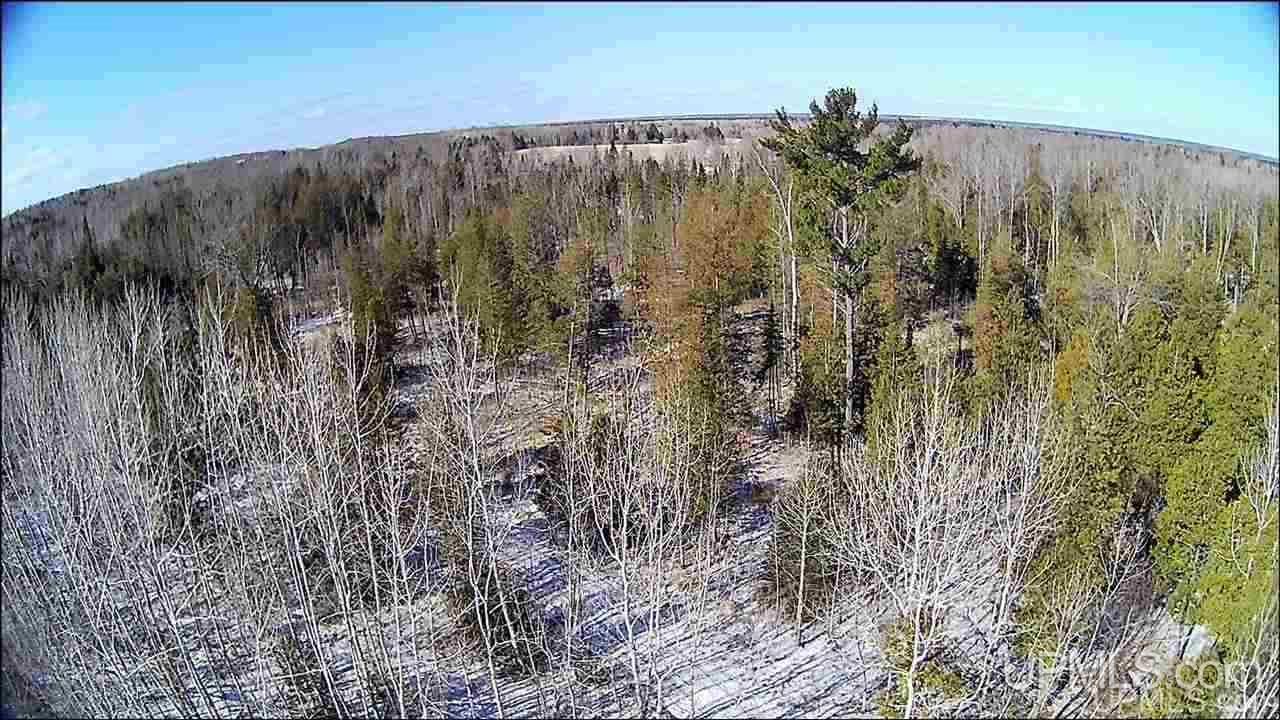 8972 Co Road Rapid River, MI 49878 - Photo 6 of 46