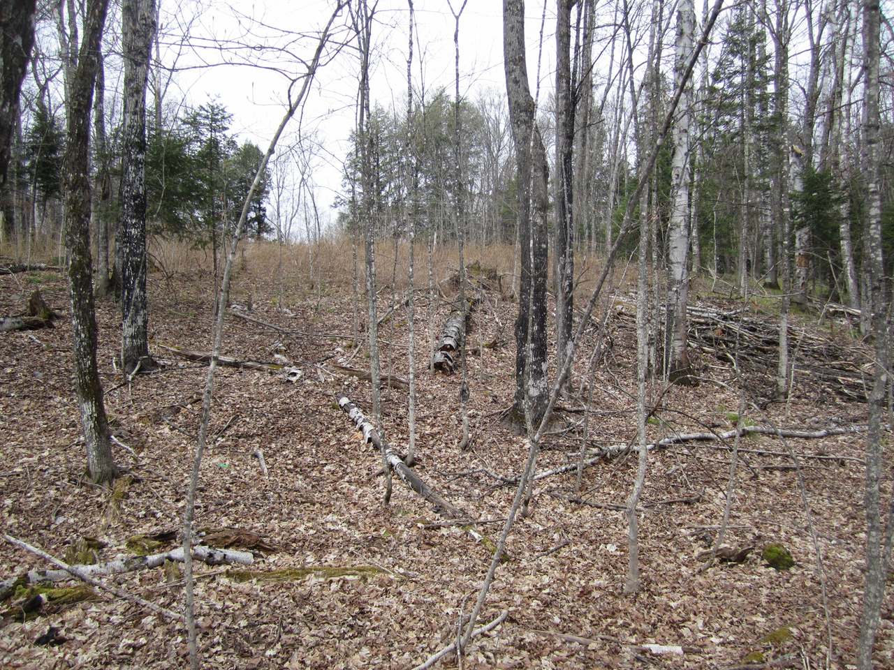 6284 Bambiland Road Mercer, WI 54547 - Photo 15 of 31 Gallery Image 15
