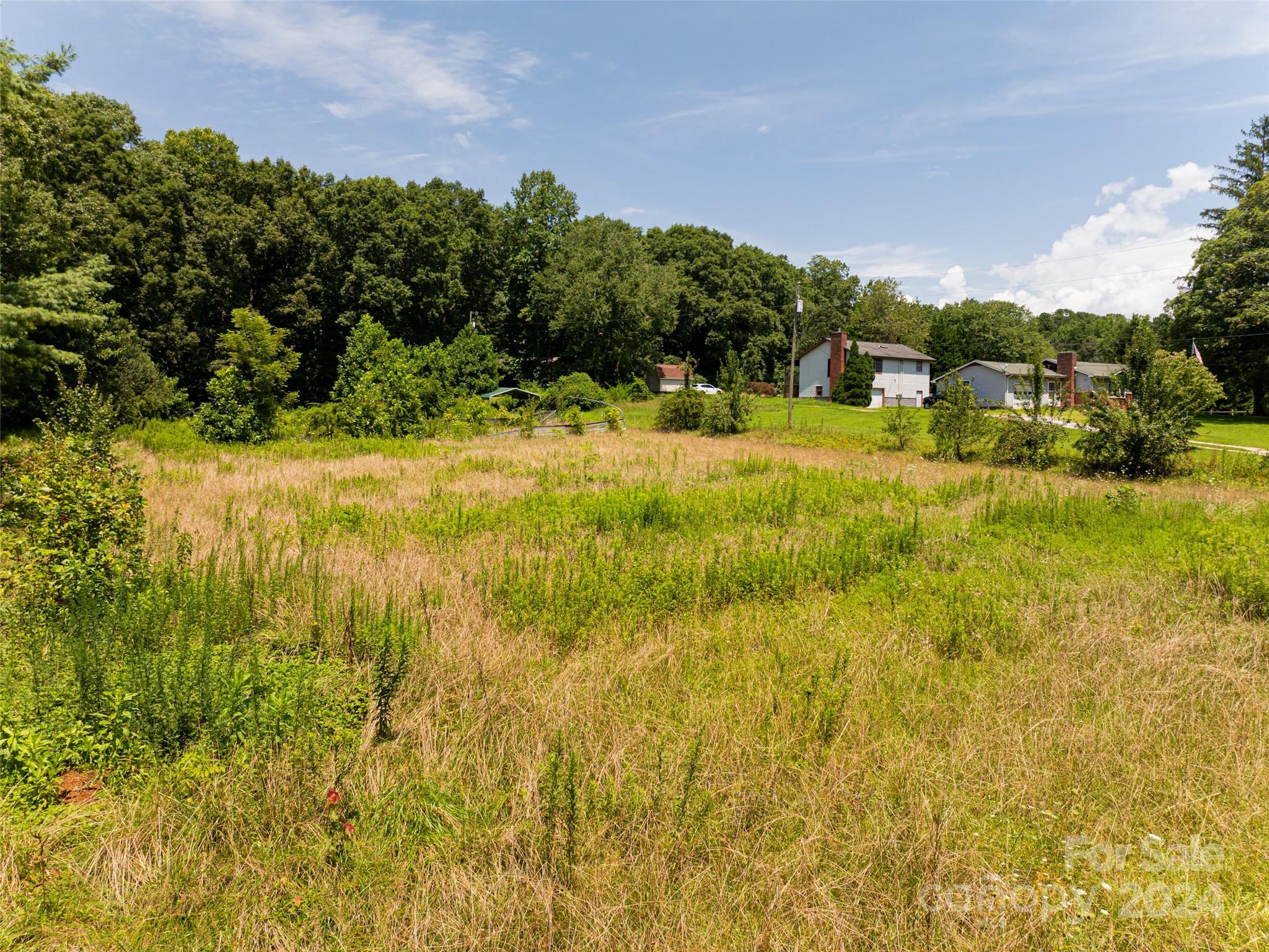 219 Christ School Road Arden, NC 28704 - Photo 12 of 17 Gallery Image 12