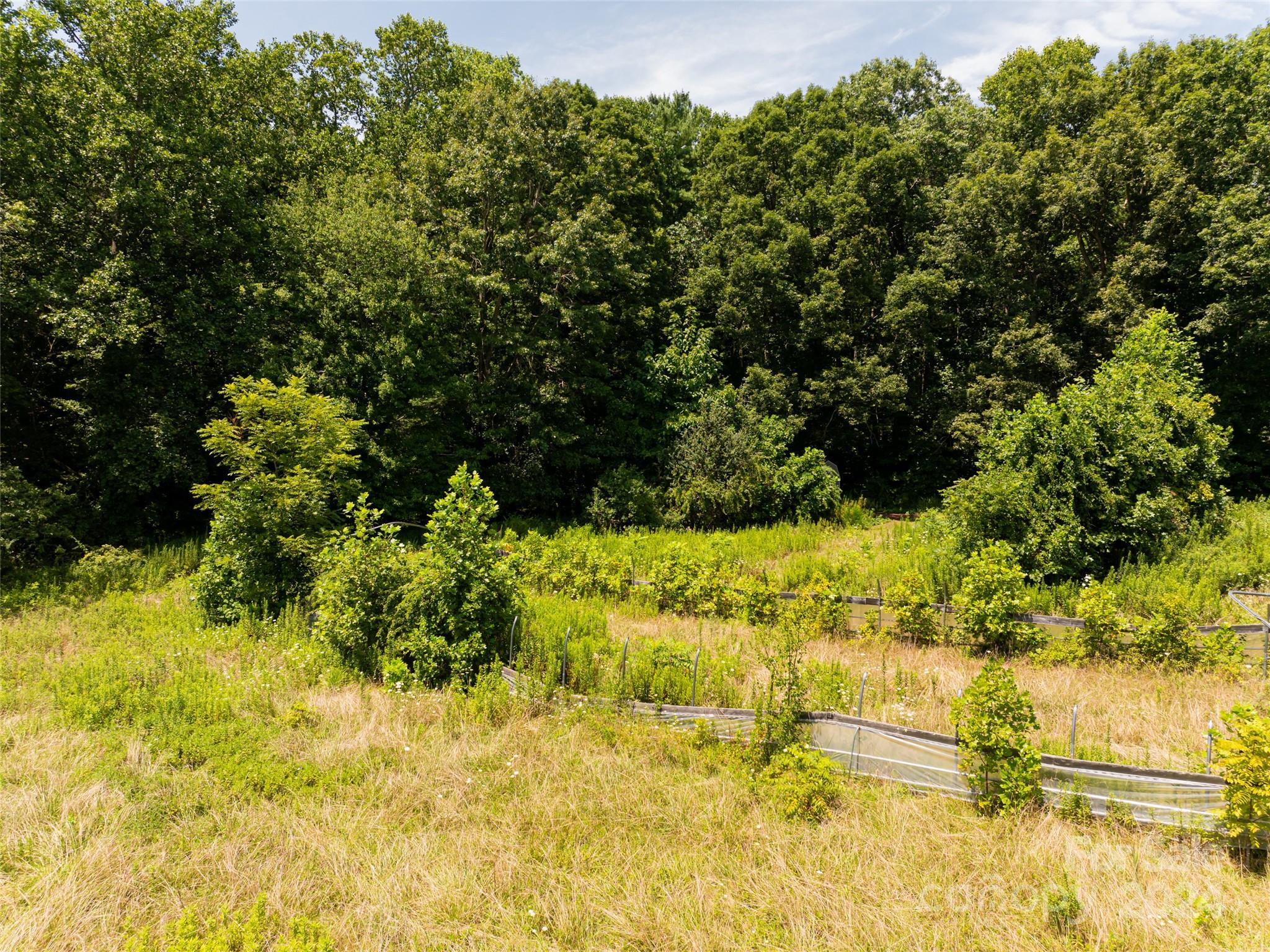 219 Christ School Road Arden, NC 28704 - Photo 13 of 17 Gallery Image 13