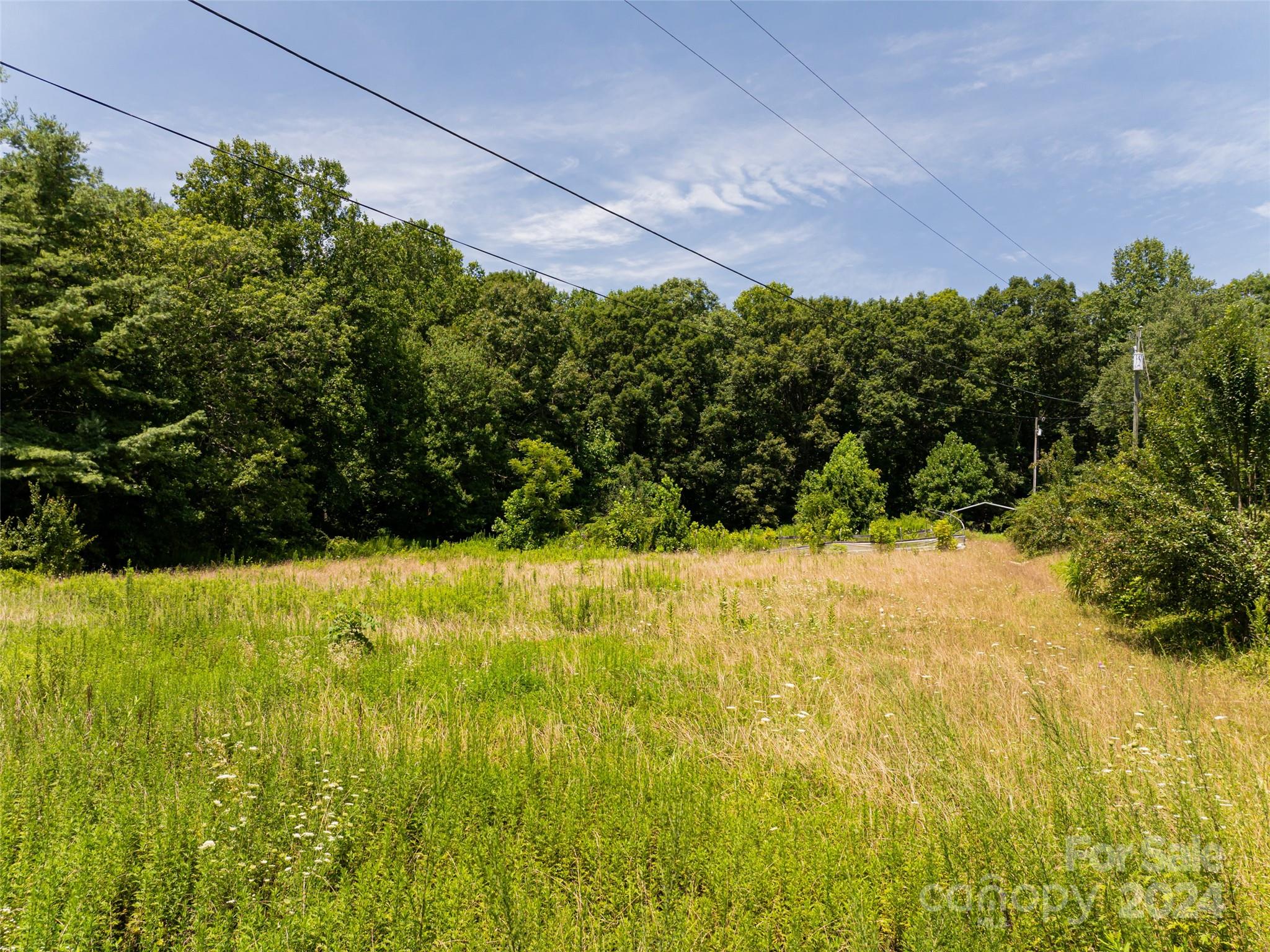 219 Christ School Road Arden, NC 28704 - Photo 6 of 17 Gallery Image 6