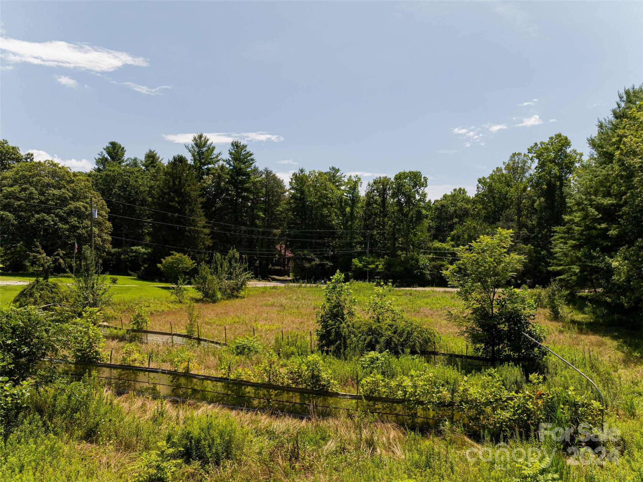 219 Christ School Road Arden, NC 28704 - Photo 7 of 17 Gallery Image 7