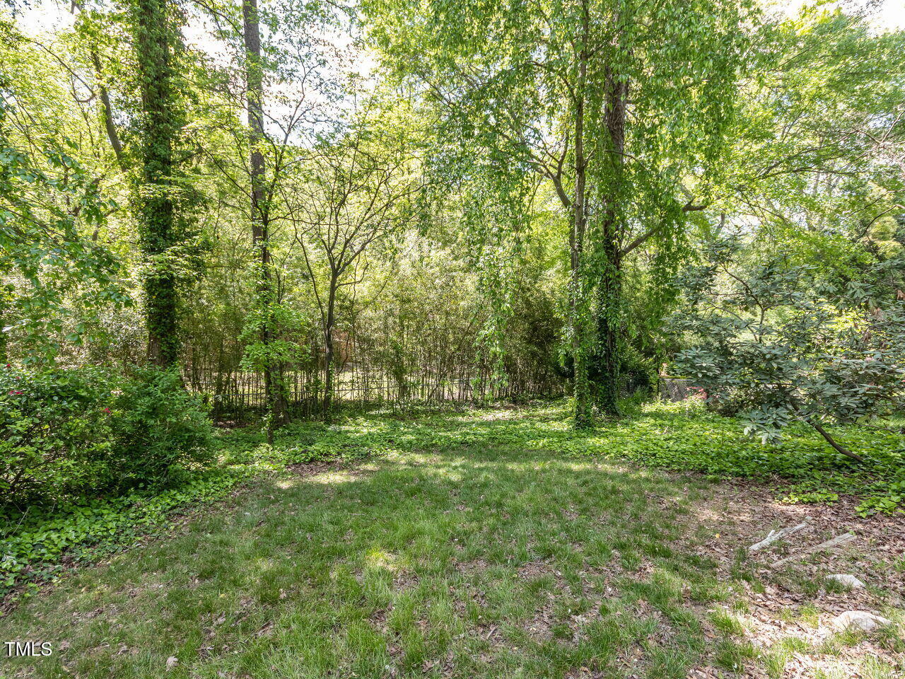 713 Macon Place Raleigh, NC 27609 - Photo 34 of 36 a big yard with lots of green space and deers