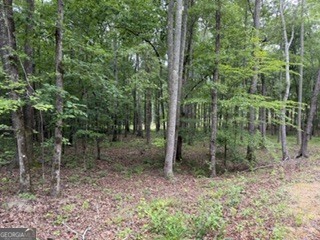 2180 Dunn Road Molena, GA 30258 - Photo 21 of 29 Gallery Image 21