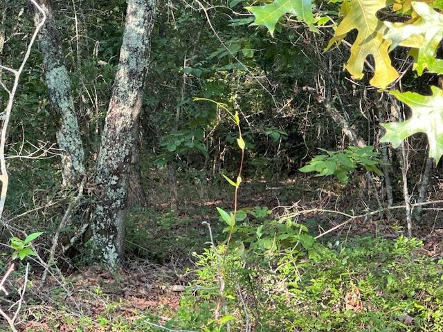 2576 Jessie James Pond Road Wrens, GA 30818 - Photo 33 of 47 IMG_4005