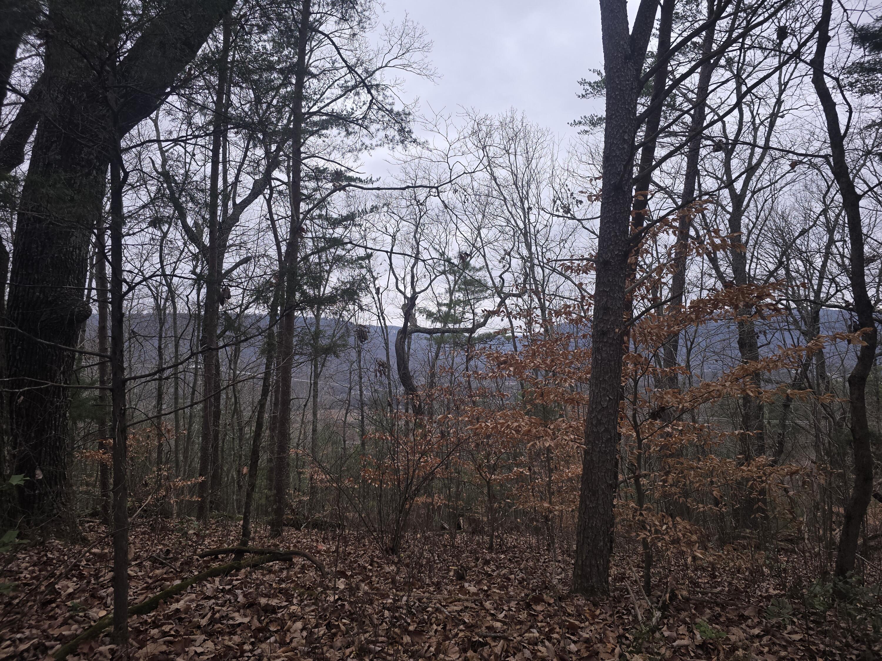 7943 Harper Road Hixson, TN 37343 - Photo 3 of 10 20241227_095337