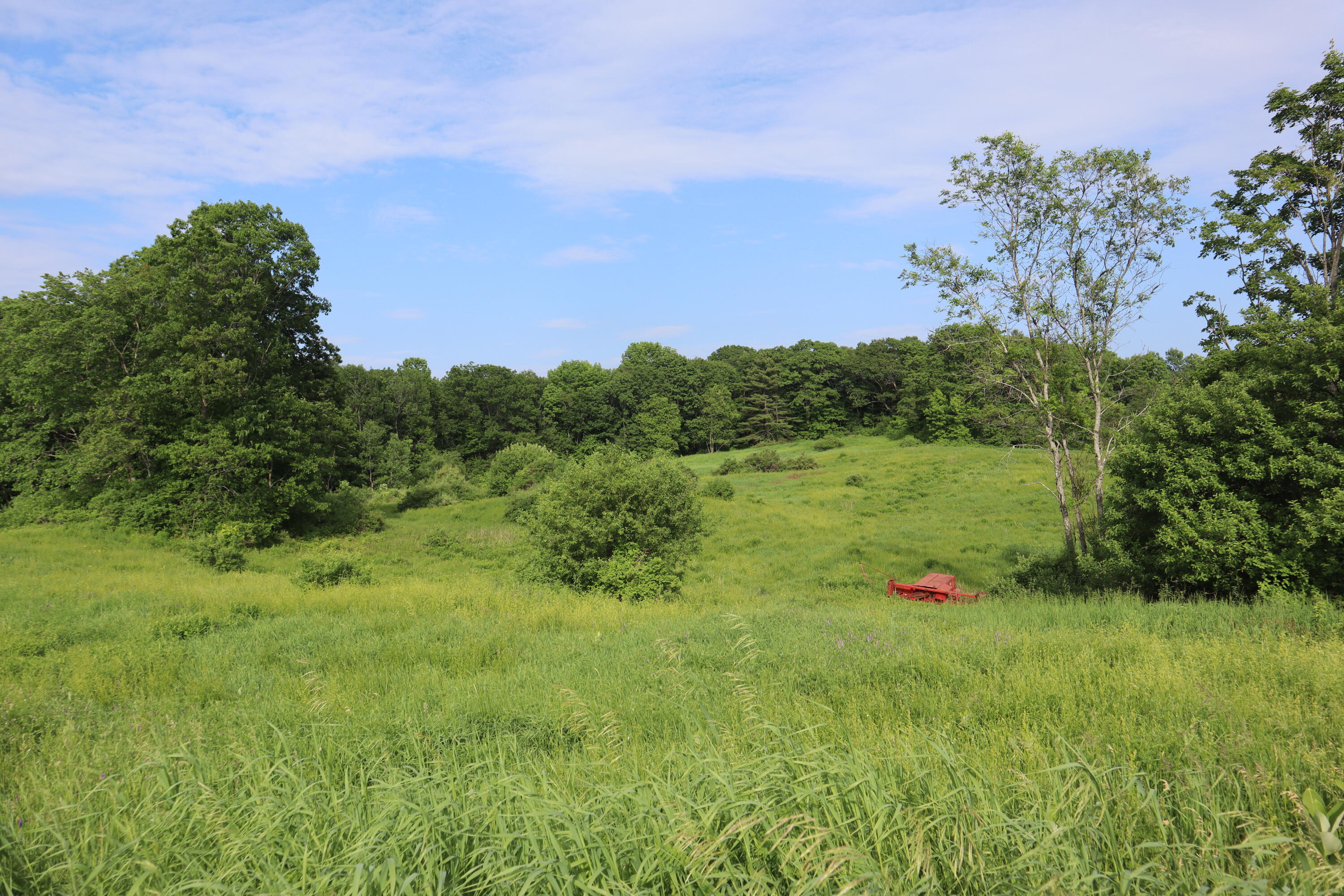 95 Wiley Road Greene, ME 04236 - Photo 15 of 41 IMG_4752