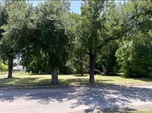 a view of a tree with a yard