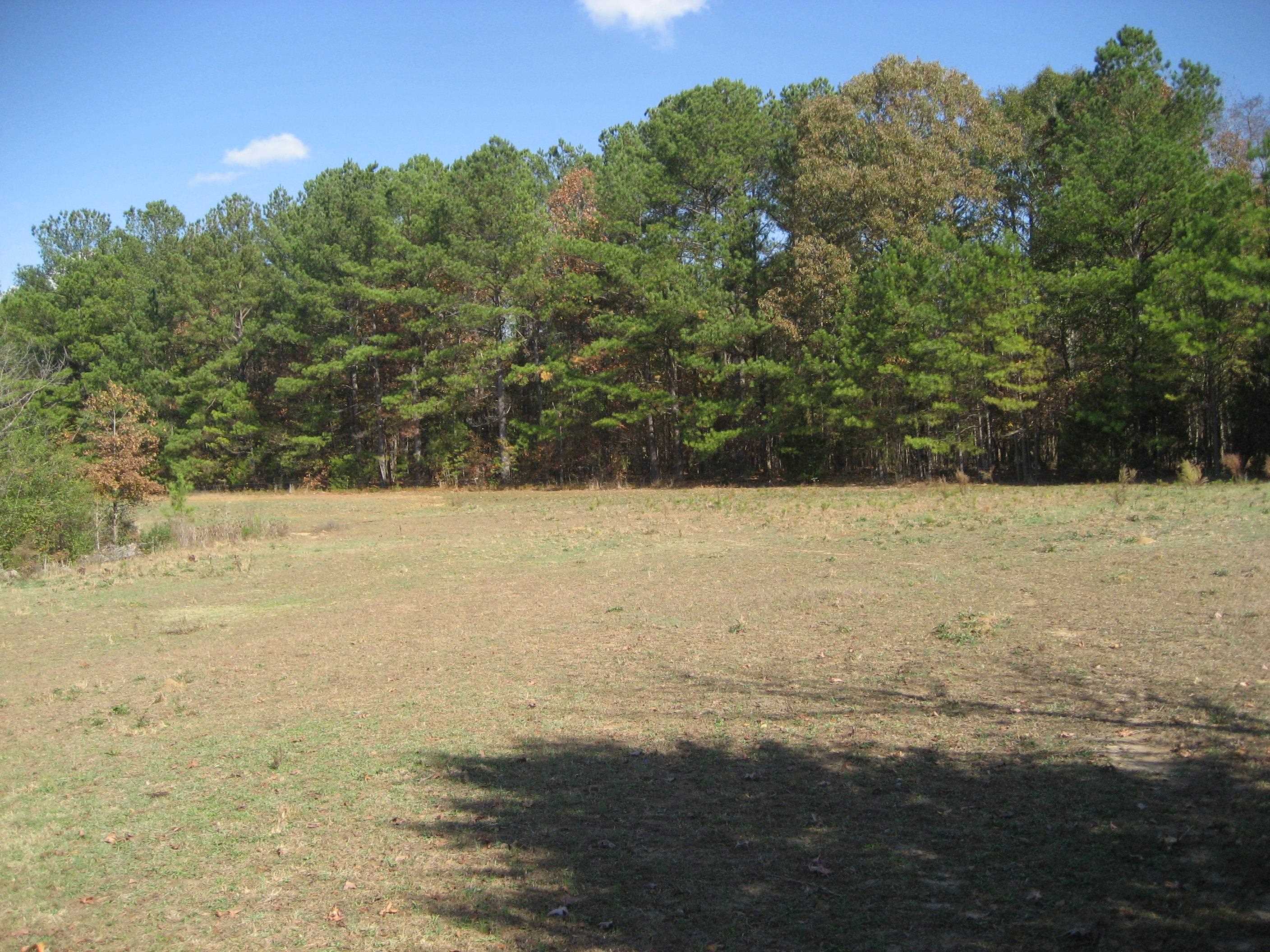 1130 Seaton Loop Adamsville, TN 38310 - Photo 22 of 24 a view of ocean view with beach