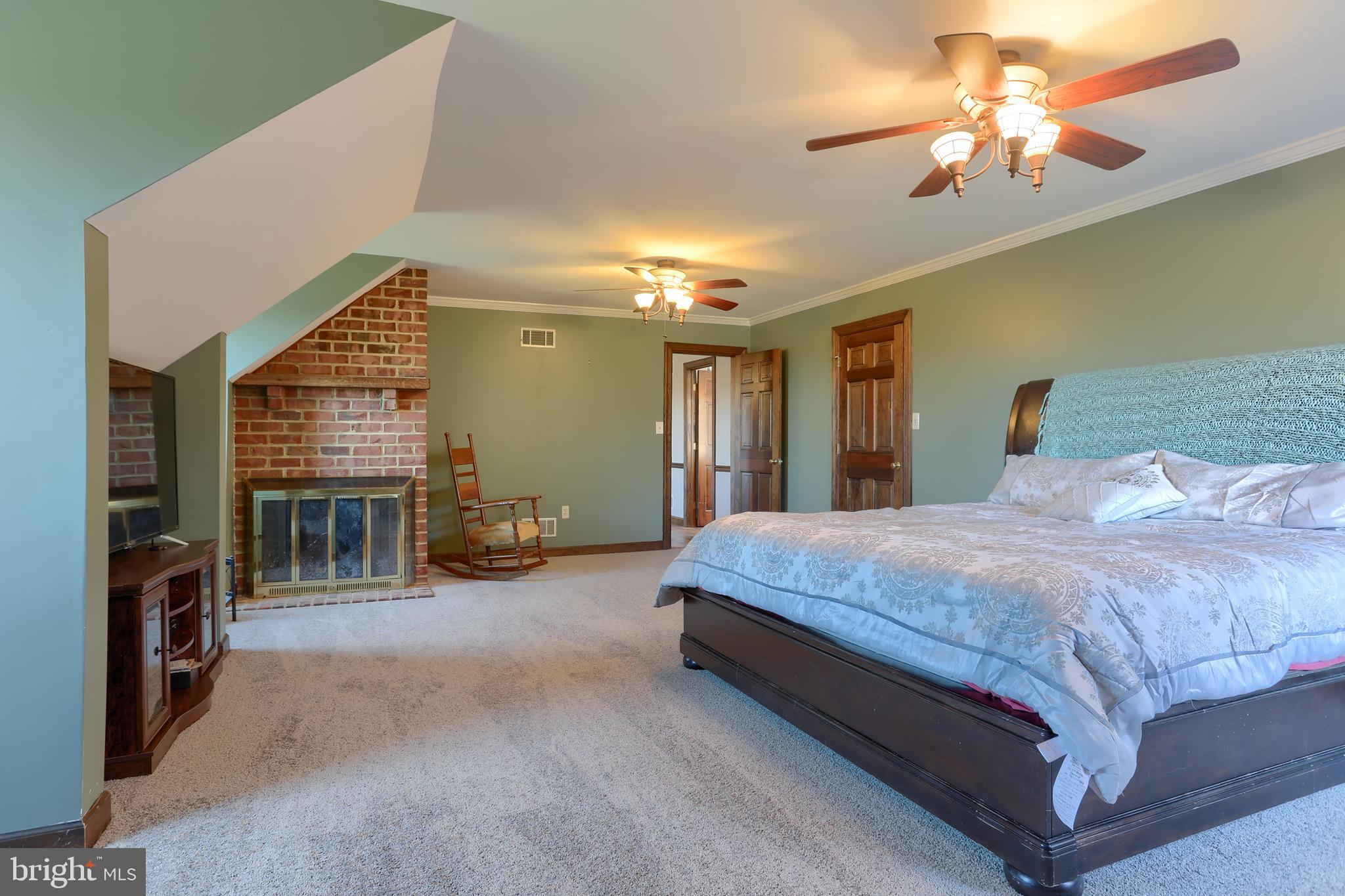 56 Forest Road Robesonia, PA 19551 - Photo 31 of 73 Master with fireplace, new carpet