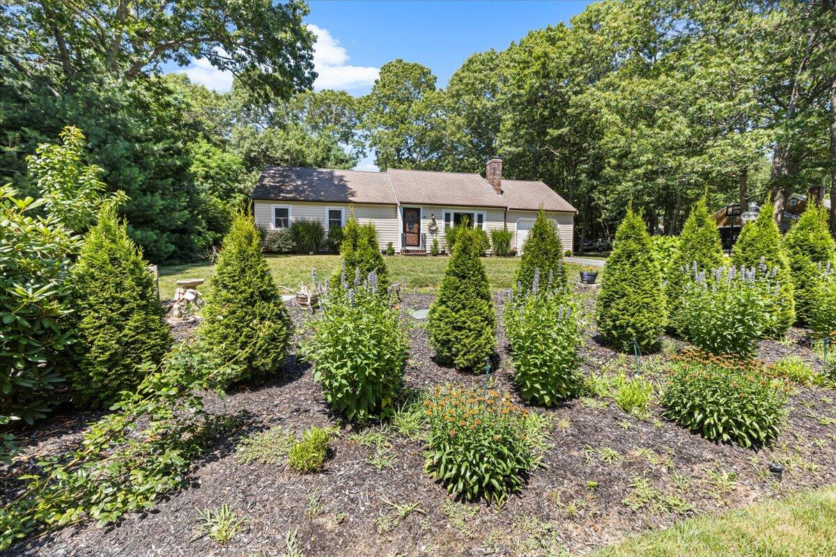 48 Valley Brook Road Centerville, MA 02632 - Photo 4 of 34 a view of a garden with plants and large trees