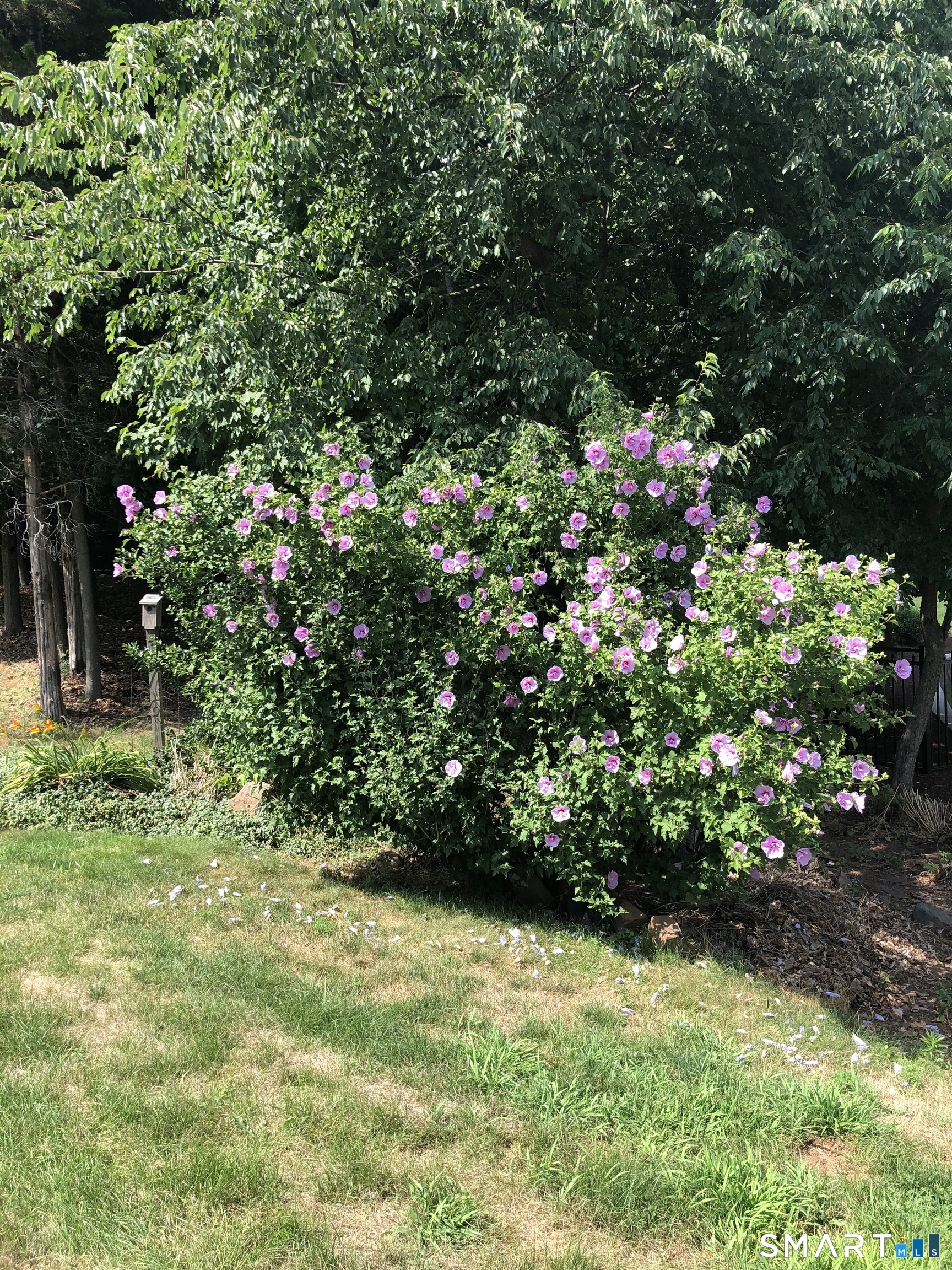 4 North Ridge Drive Cromwell, CT 06416 - Photo 8 of 20