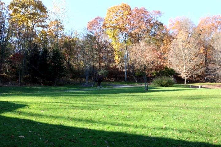 514 Altman Hill Road Vandergrift, PA 15690 - Photo 3 of 13